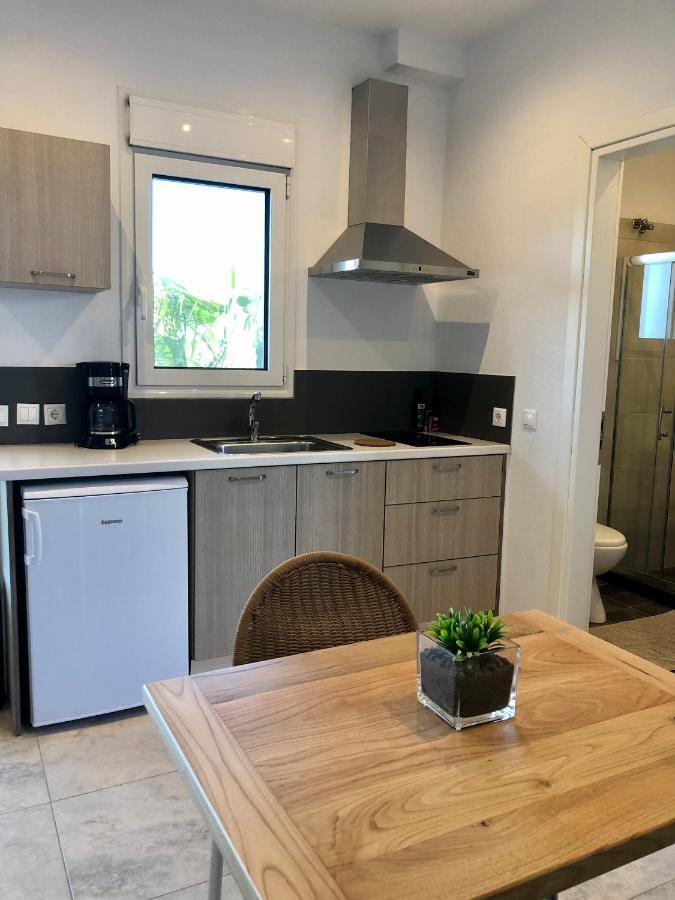Vanessa House Luxury Apartments Скіатос Екстер'єр фото